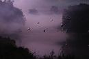 chamarande 051 * 4272 x 2848 * (3.84MB)